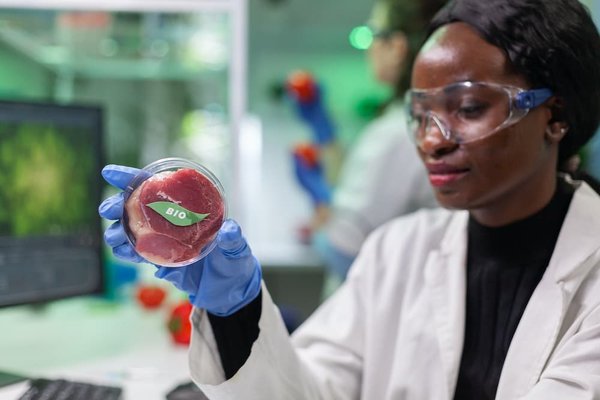 Les avantages de proposer des options de menu pour les personnes végétariennes dans votre restaurant bar