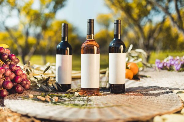 Vins liquoreux : des accords mets-vins raffinés pour sublimer vos plats